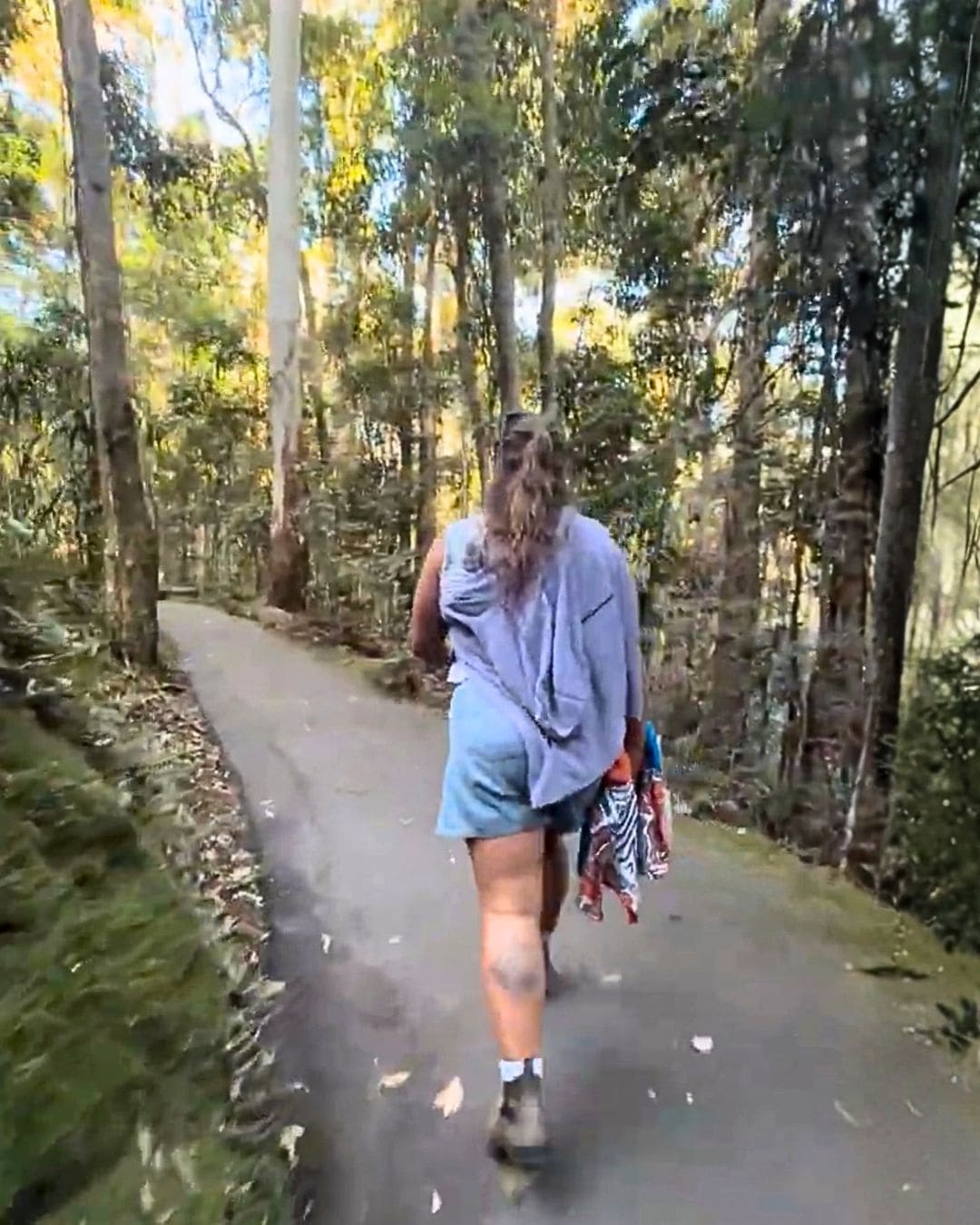 Glasshouse Mountains hiking trail, Queensland