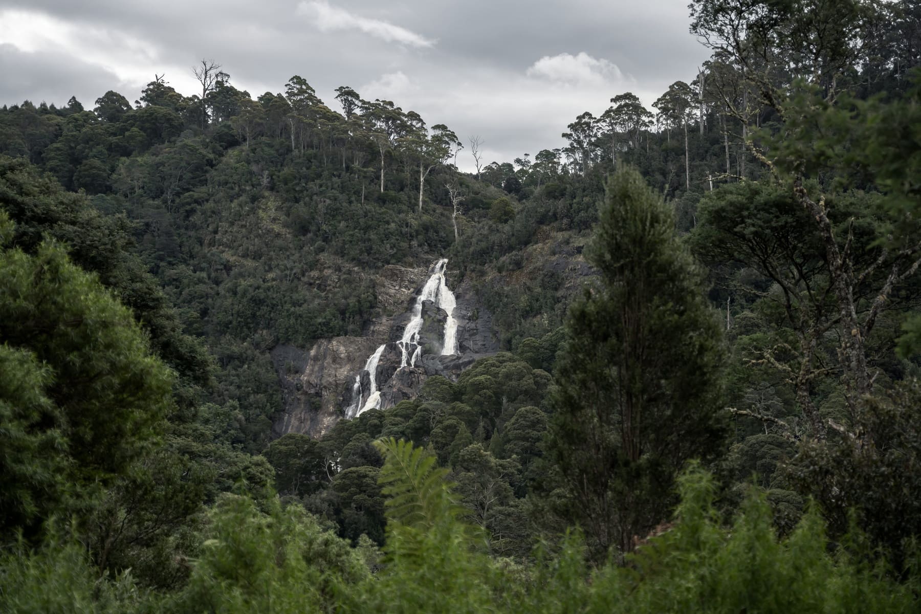 Mt Field National Park, TAS.