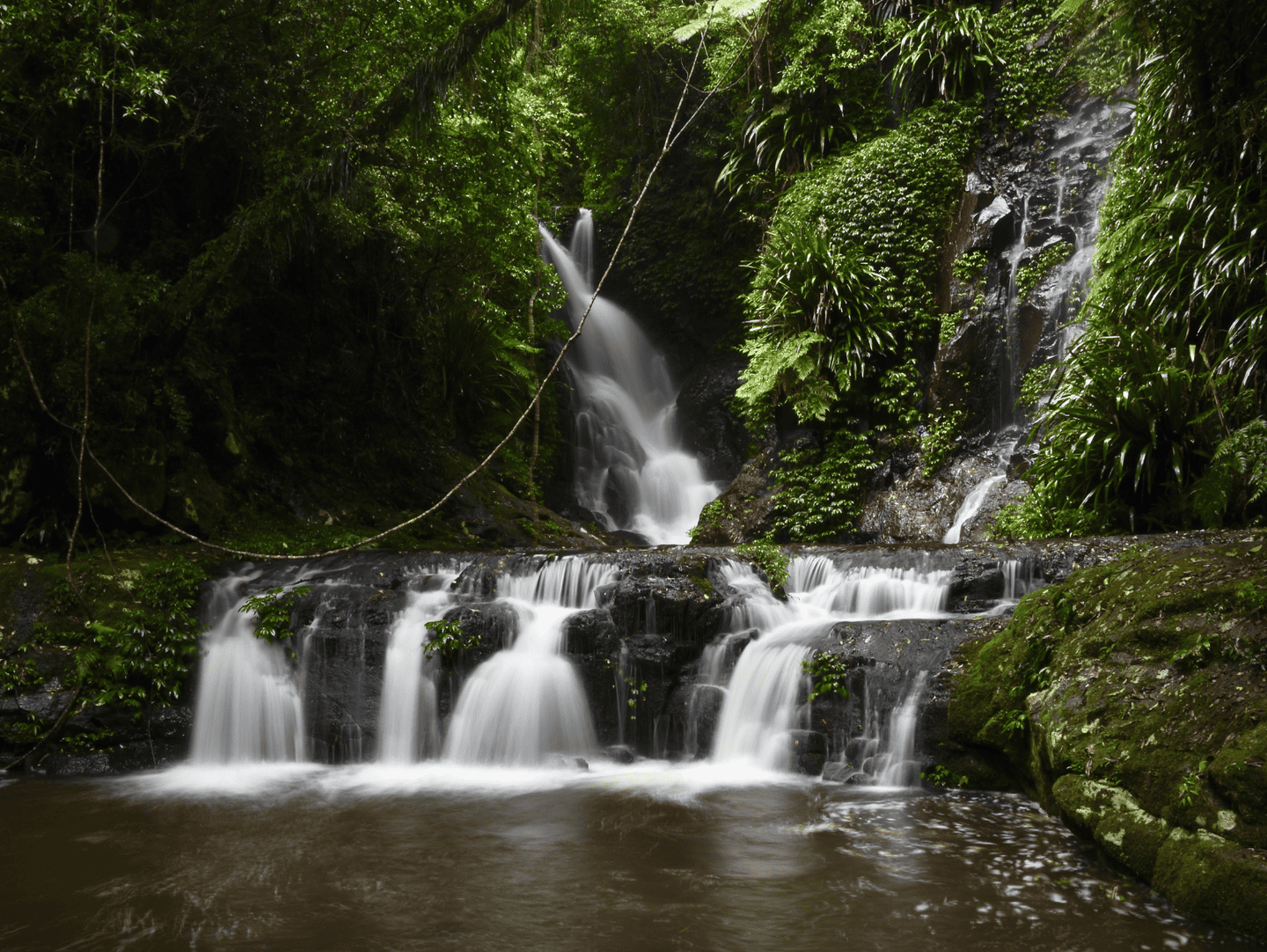 Lamington National Park, QLD.