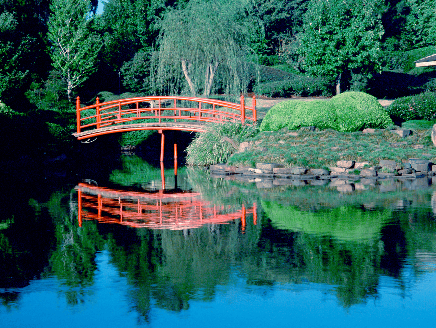 Toowoomba Gardens, QLD.