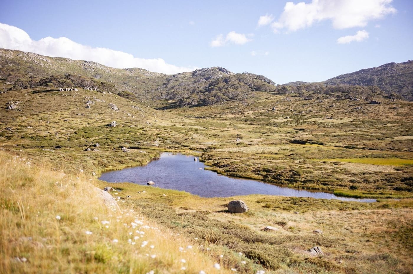 Kosciuszko National Park, NSW.
