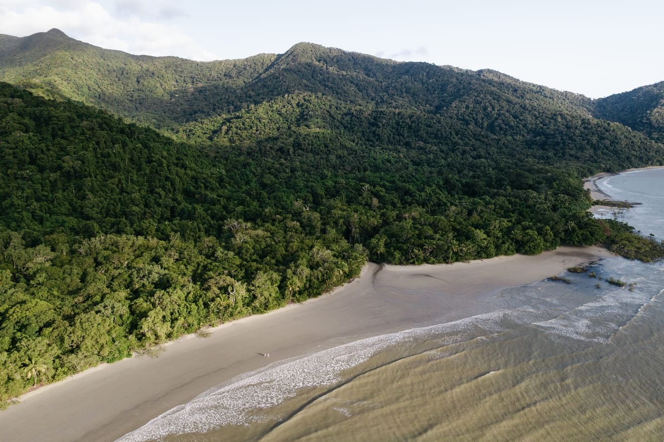 Cape Tribulation, QLD. Photo: Tourism Australia.