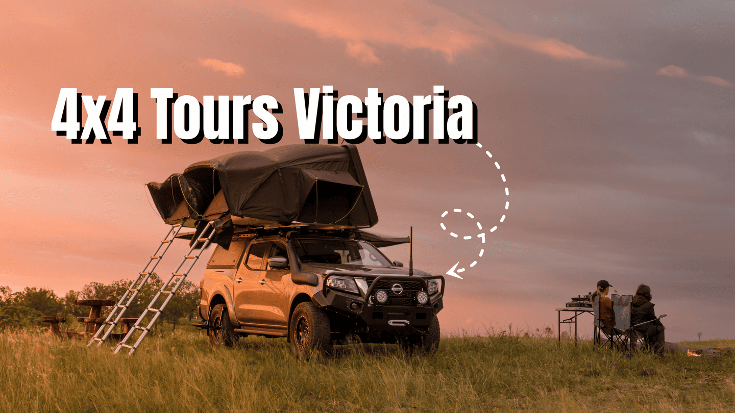 Explore Victoria with Overflow 4x4 Tours