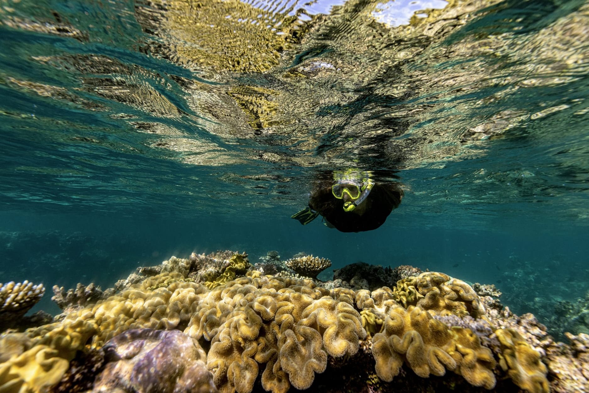 Great Barrier Reef, QLD.