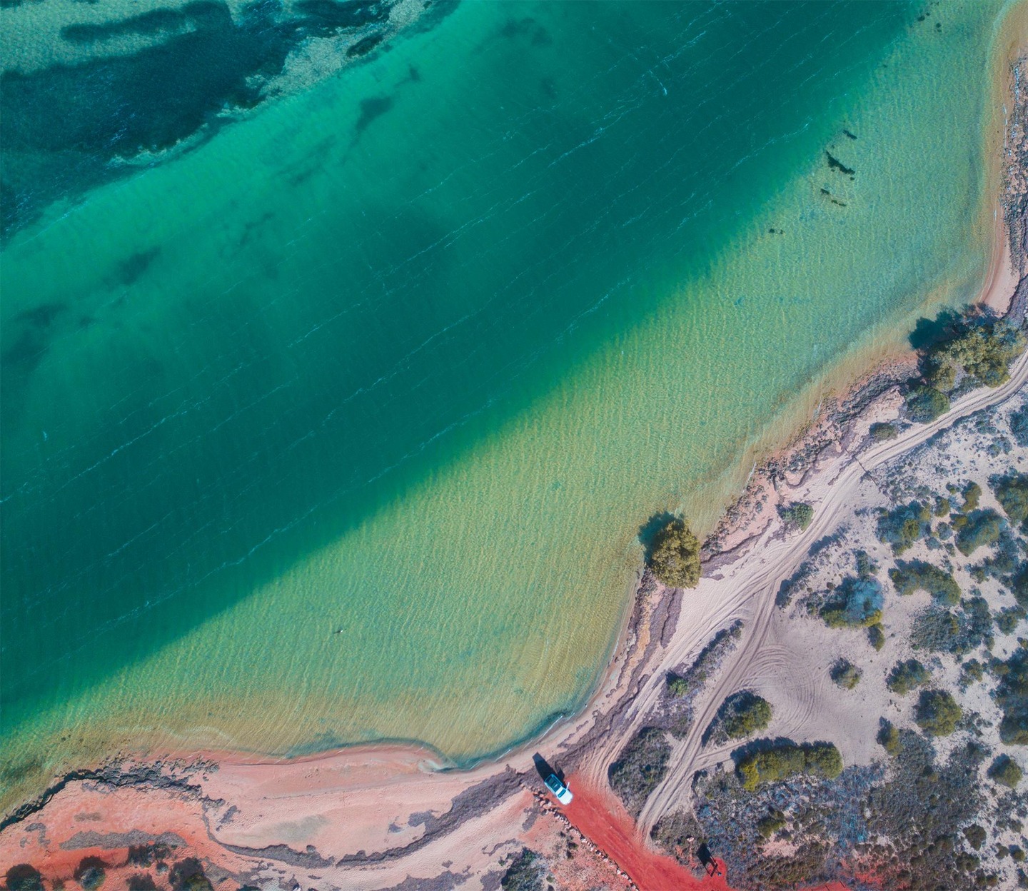 Perth to Monkey Mia Campervan Road Trip