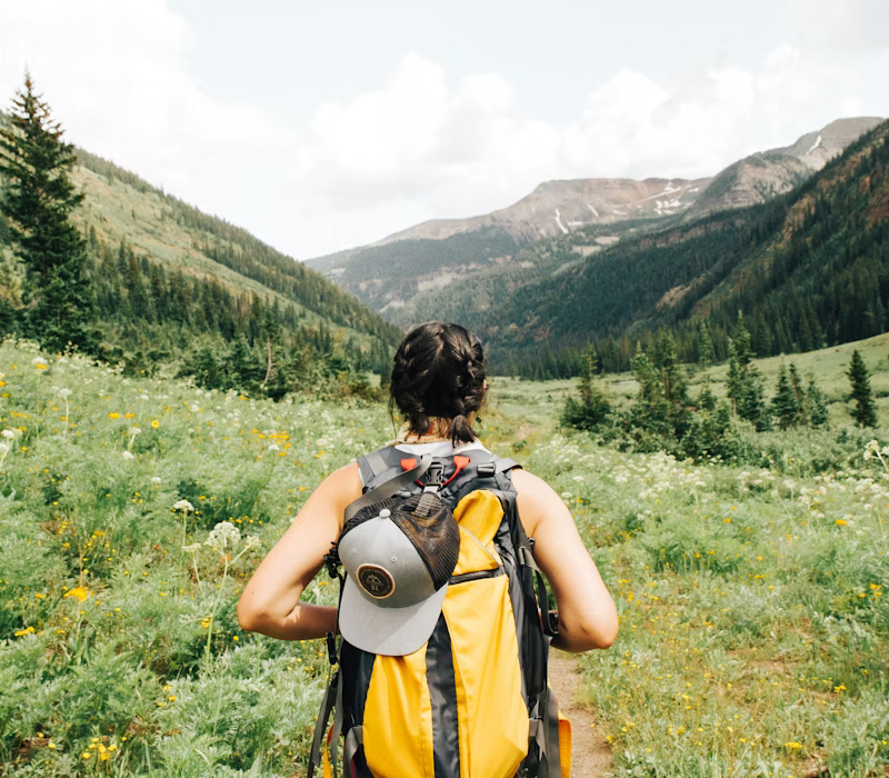 Trans-Canada Highway campervan road trip