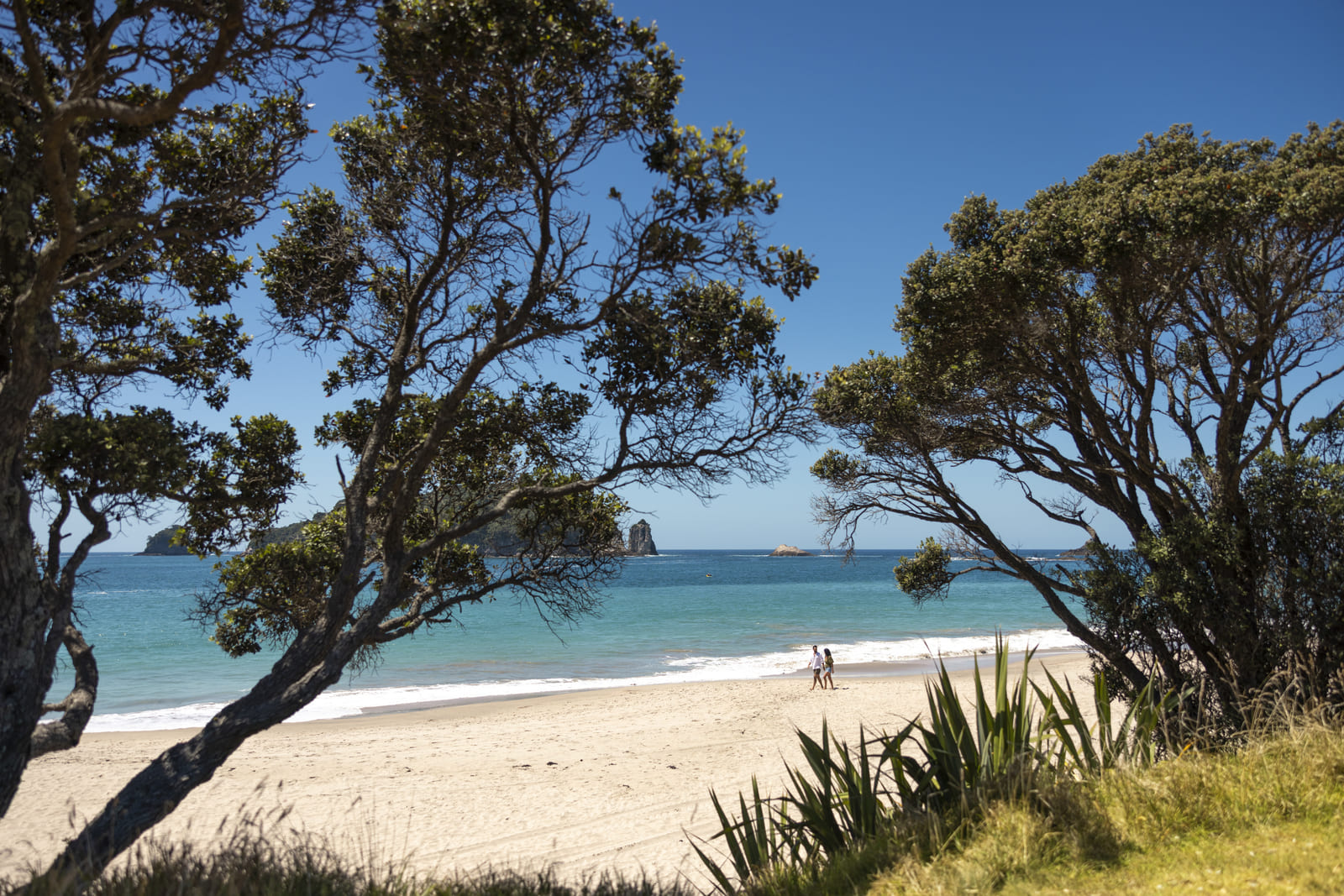 Hahei Beach, NZ.