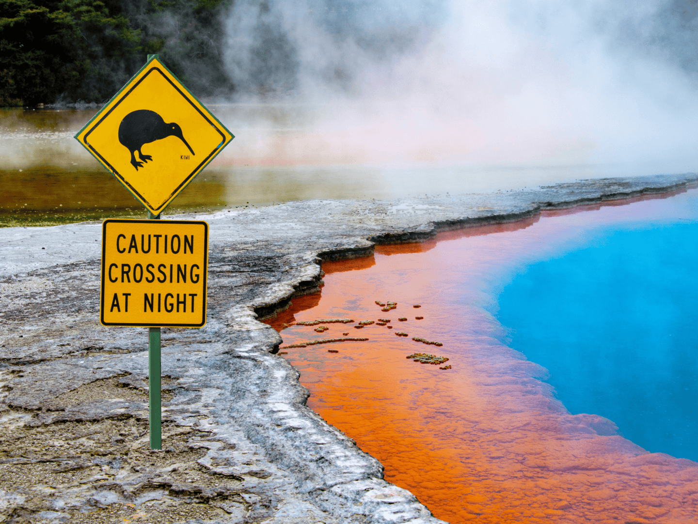 Rotorua, North Island.