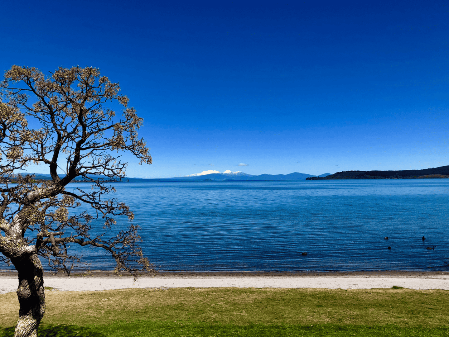 Lake Taup?, North Island.
