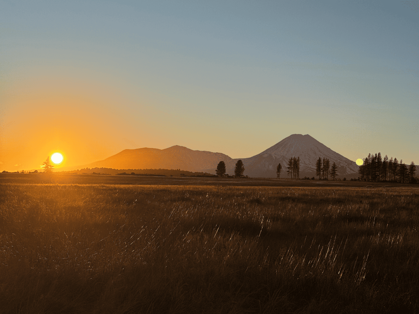 Waimarino National Park sunrise, North Island.