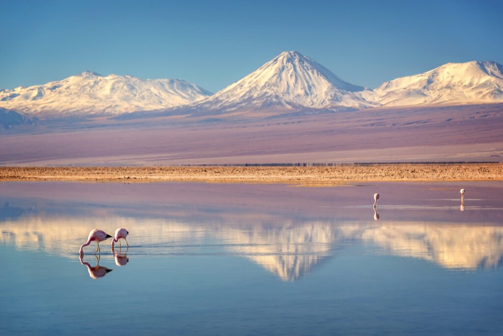 Calama
